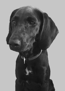 Pepper